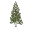 Urban landscape library, Trees 