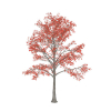 Urban landscape library, Trees 