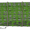 Urban landscape library, Trees 