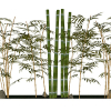 Urban landscape library, Trees 