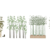 Urban landscape library, Trees 