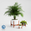 Plant Sketchup  scaled