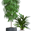 Plant Sketchup File free download