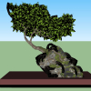 BonSai Tree Sketchup File free download