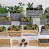 Flower boxes