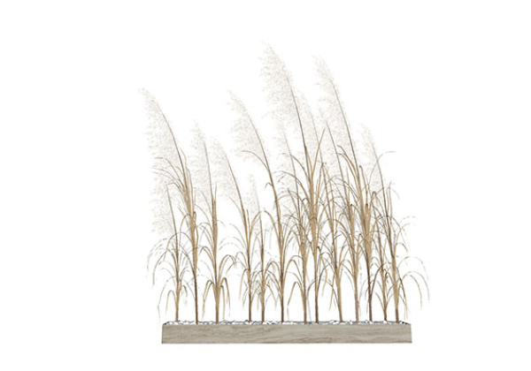 Urban landscape library, Trees