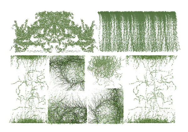 Urban landscape library, Trees