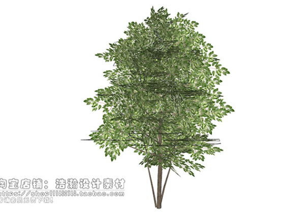 Urban landscape library, Trees