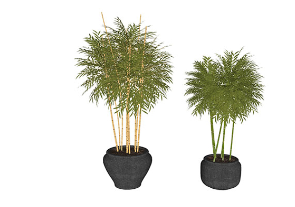 Urban landscape library, Trees