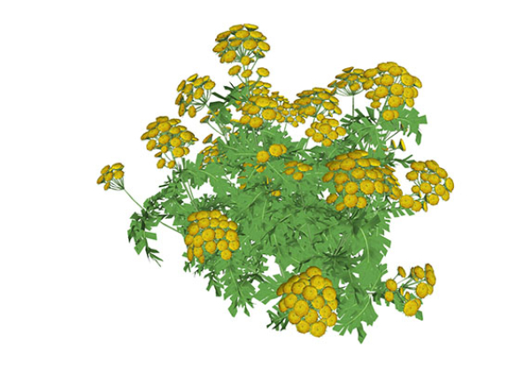 Urban landscape library, Trees