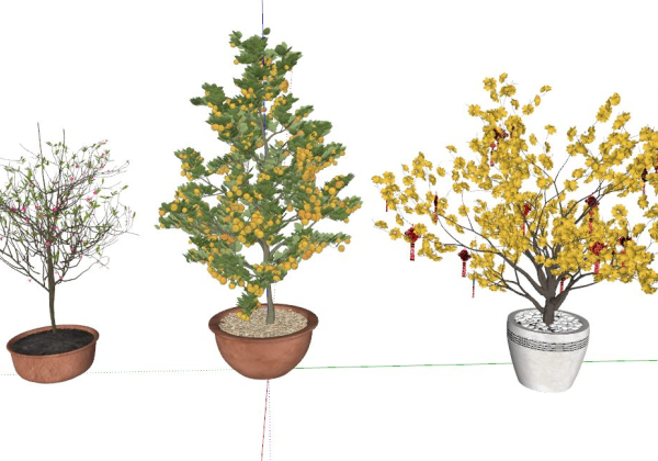 Plant Sketchup  by Trong Thanh