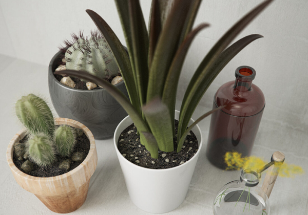 Flowerpot Plant Sketchup  scaled