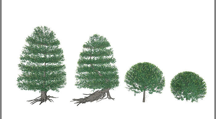 Urban landscape library, Trees 