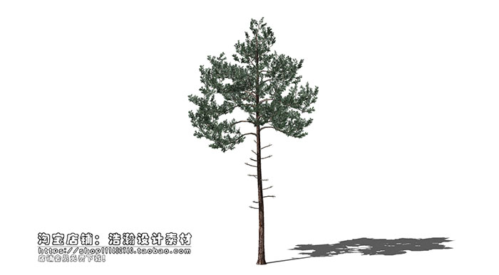 Urban landscape library, Trees 