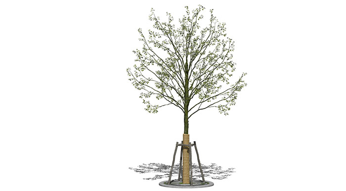 Urban landscape library, Trees 