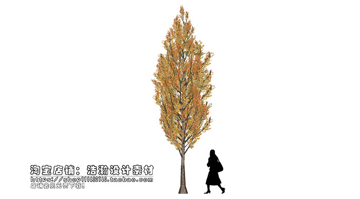 Urban landscape library, Trees 