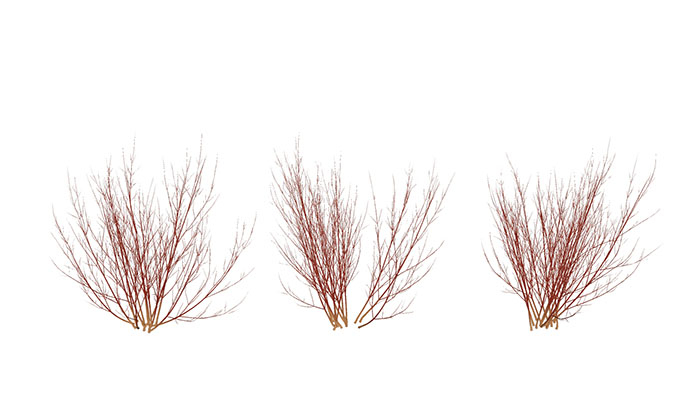 Urban landscape library, Trees 