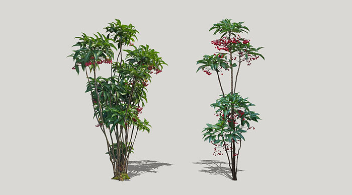 Urban landscape library, Trees 