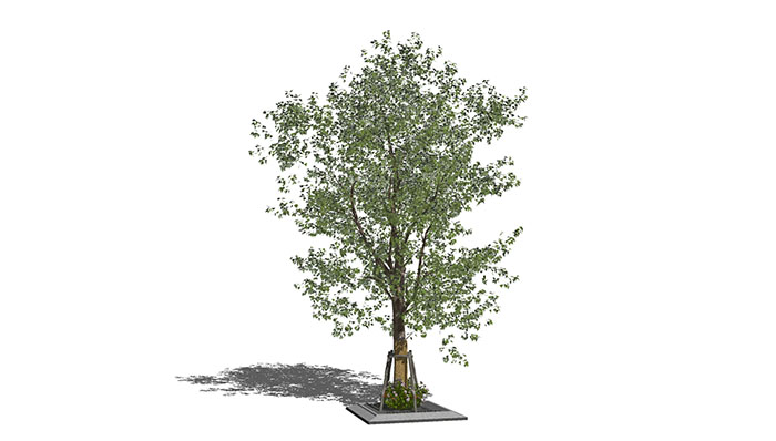 Urban landscape library, Trees 