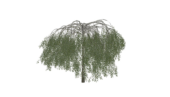 Urban landscape library, Trees 