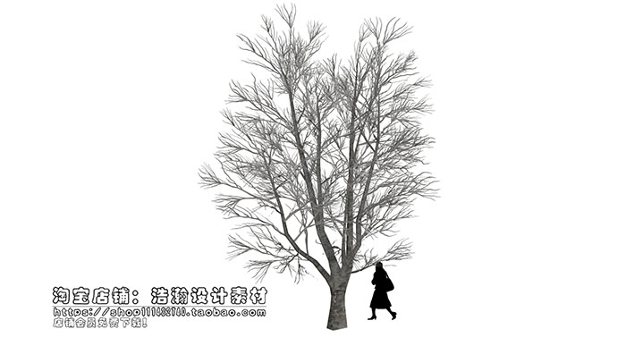 Urban landscape library, Trees 