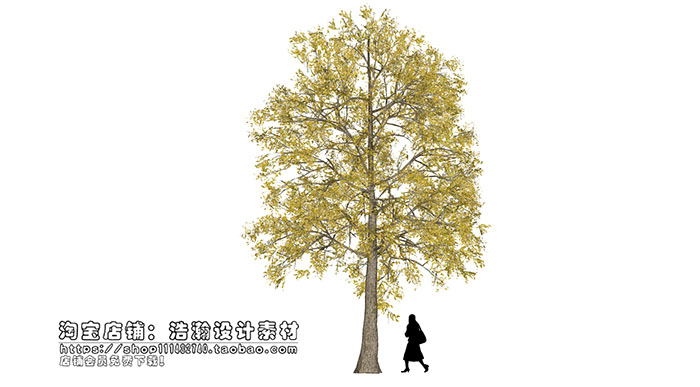 Urban landscape library, Trees 