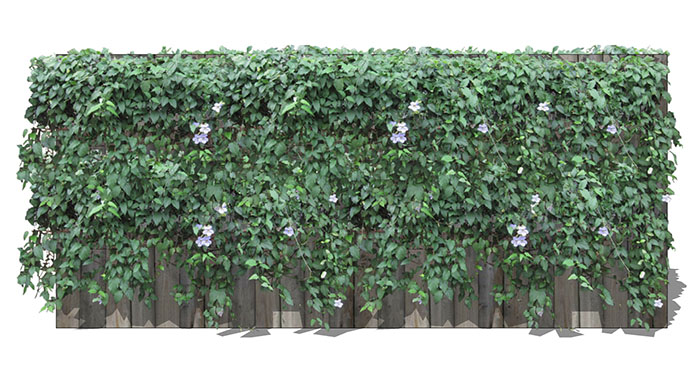 Urban landscape library, Trees 