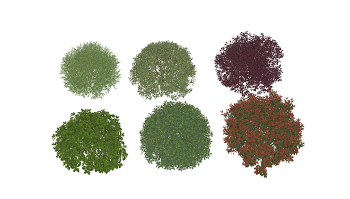 Urban landscape library, Trees 