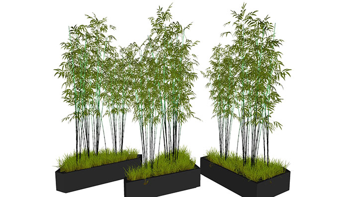 Urban landscape library, Trees 