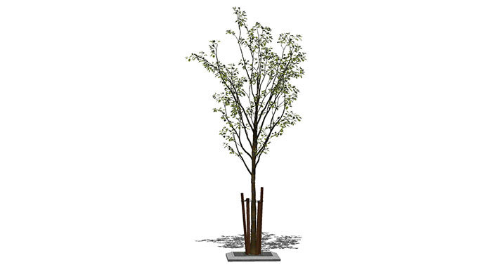 Urban landscape library, Trees 