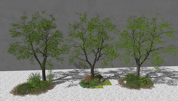 Urban landscape library, Trees 