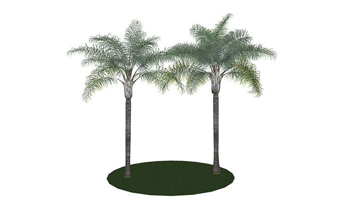 Urban landscape library, Trees 