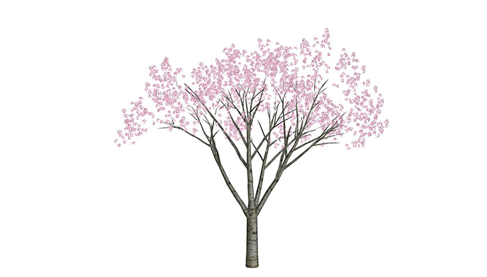 Urban landscape library, Trees 