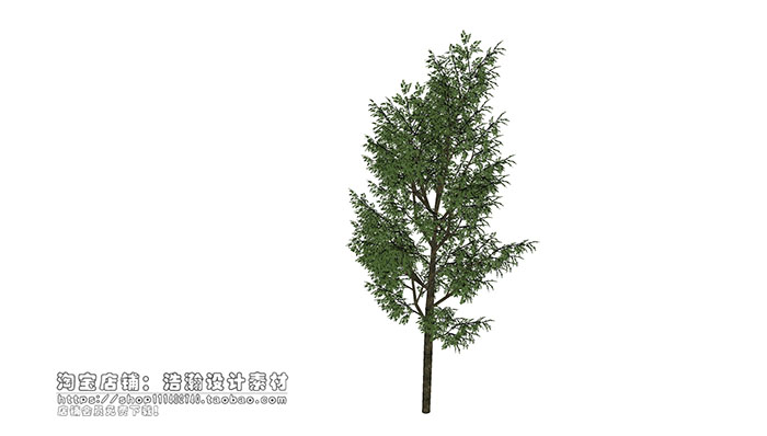 Urban landscape library, Trees 