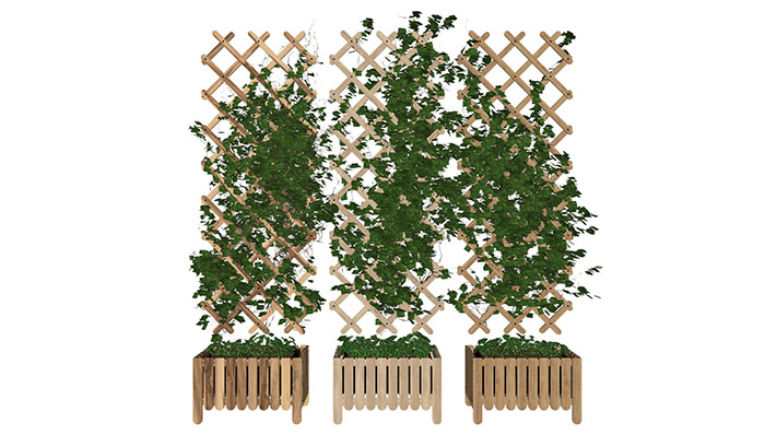 Urban landscape library, Trees 