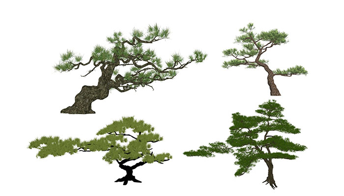 Urban landscape library, Trees 