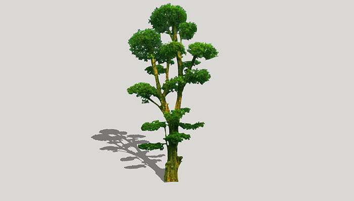 Urban landscape library, Trees 