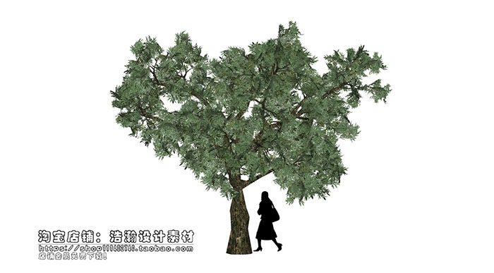 Urban landscape library, Trees 