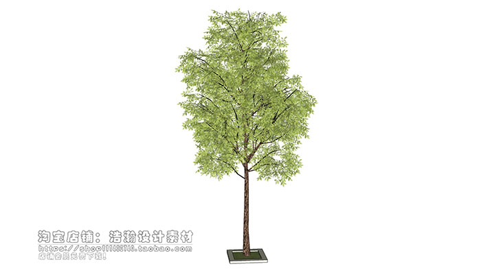 Urban landscape library, Trees 