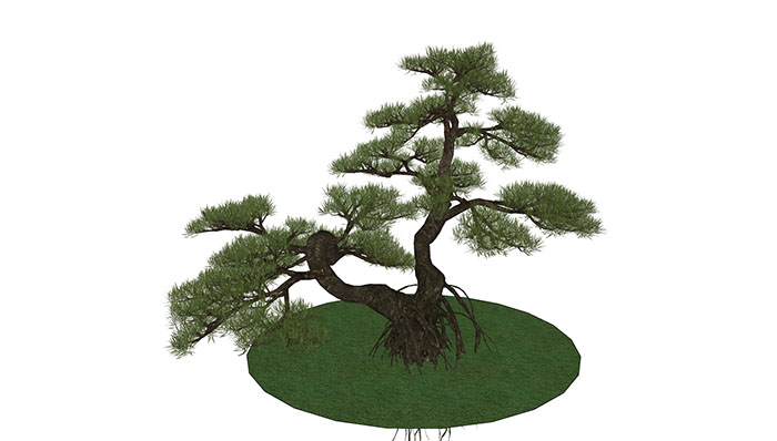 Urban landscape library, Trees 