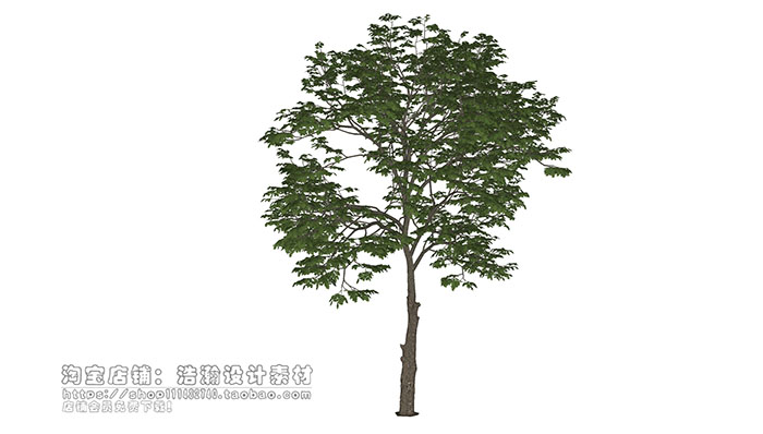 Urban landscape library, Trees 