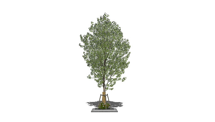 Urban landscape library, Trees 