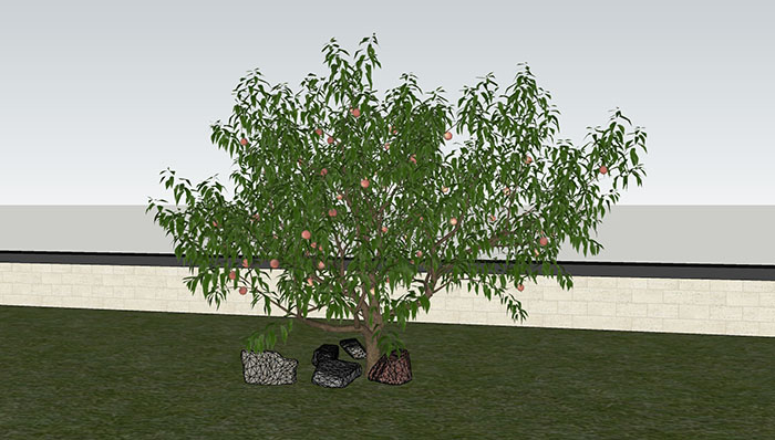 Urban landscape library, Trees 