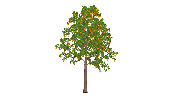 Urban landscape library, Trees 