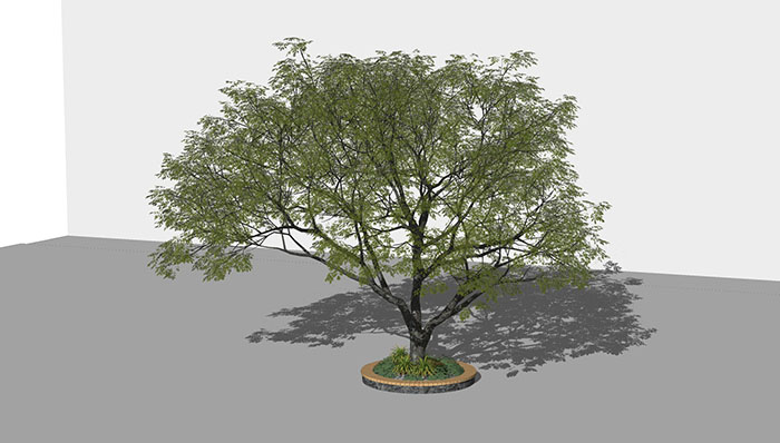 Urban landscape library, Trees 