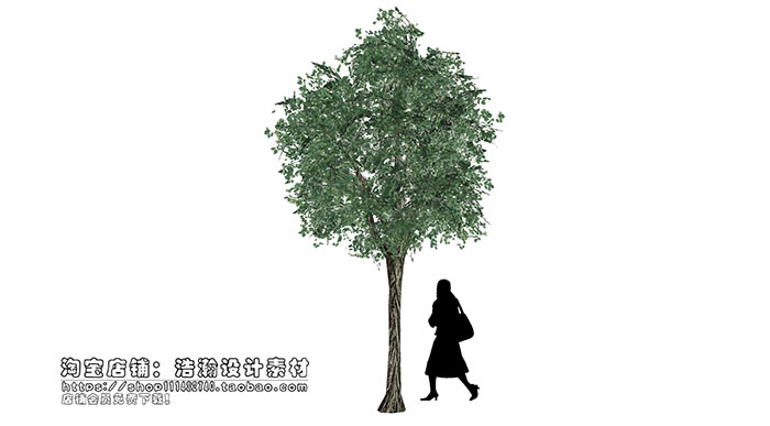 Urban landscape library, Trees 