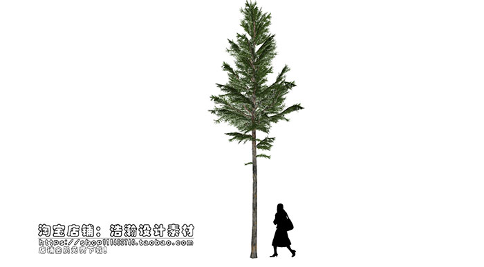 Urban landscape library, Trees 