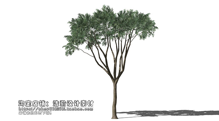 Urban landscape library, Trees 