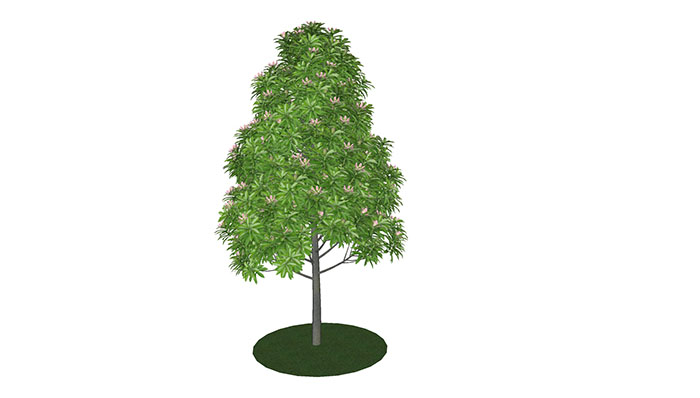 Urban landscape library, Trees 