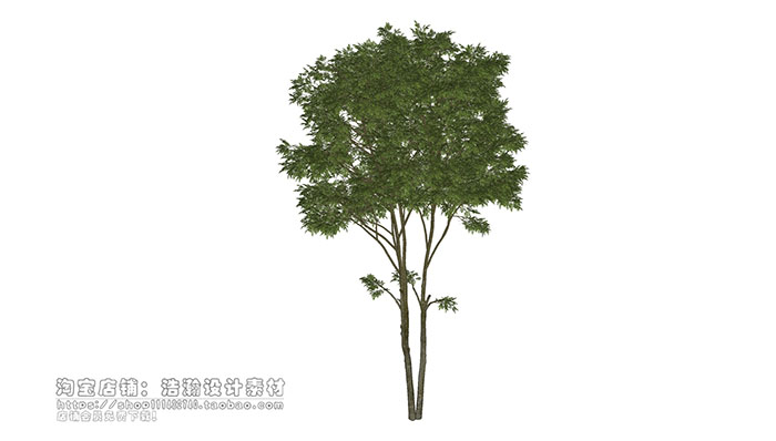 Urban landscape library, Trees 